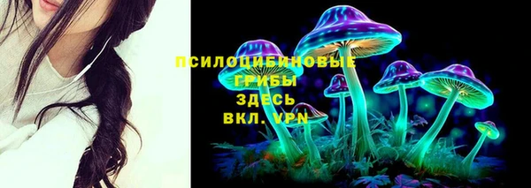 скорость Покачи
